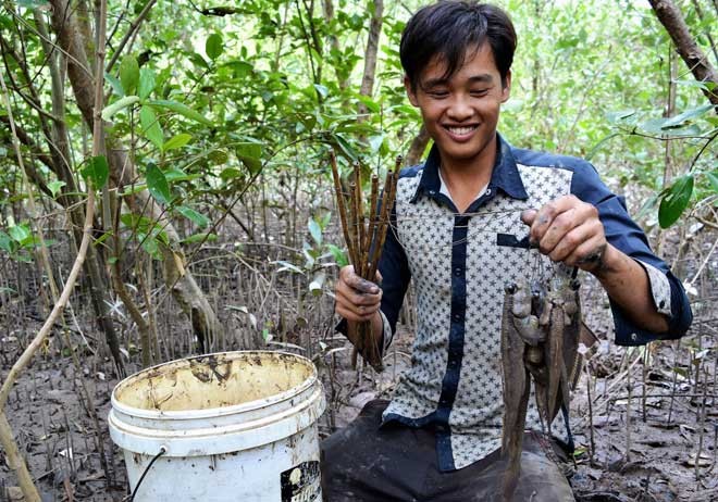 Ly kỳ chuyện săn loài cá chạy trên cạn, leo cây nhoay nhoáy - ảnh 2