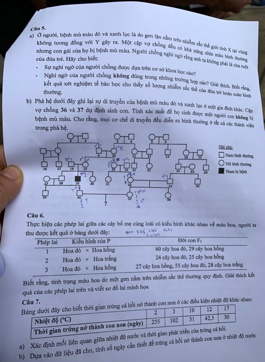 Đề Toán, Sinh chuyên vào lớp 10 trường Khoa học tự nhiên: Khó đạt điểm 9 - ảnh 5