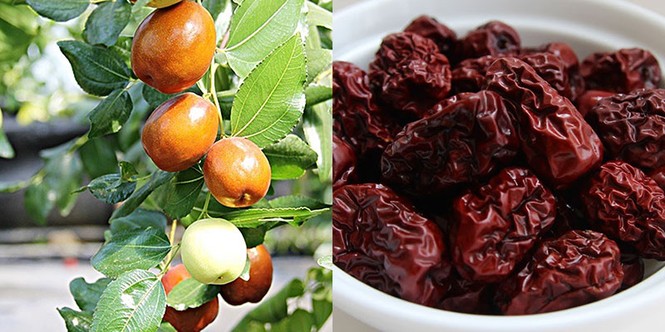 Giao mùa, nên ăn những thực phẩm nào để tăng cường hệ miễn dịch - ảnh 2