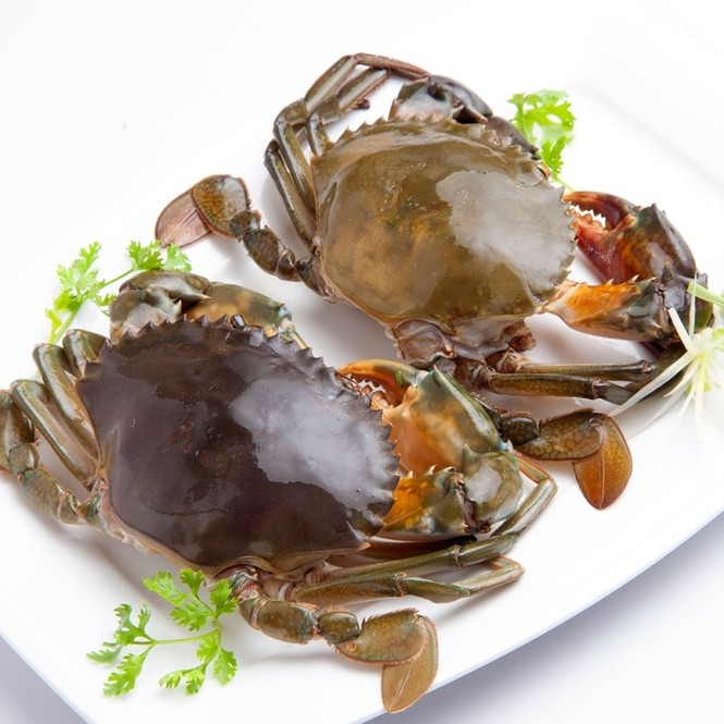 Những thực phẩm ‘siêu tốt’ với người bị tai biến mạch máu não - ảnh 4 Những thực phẩm ‘siêu tốt’ với người bị tai biến mạch máu não - ảnh 4