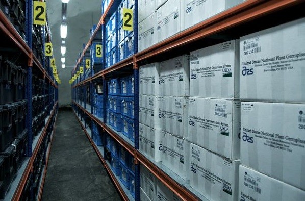 5 địa điểm bí ẩn, cấm kị con người đặt chân đến trên thế giới - ảnh 3