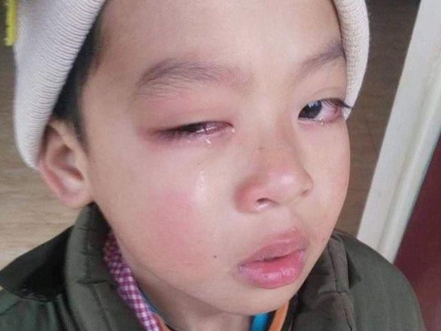 Giáo viên bị tố đánh học sinh ở Lạng Sơn là người có chuyên môn cao - ảnh 6
