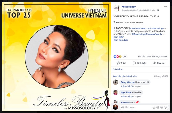 Ba người đẹp Việt lọt Top 25 'Nhan sắc vượt thời gian' 2018 - ảnh 4