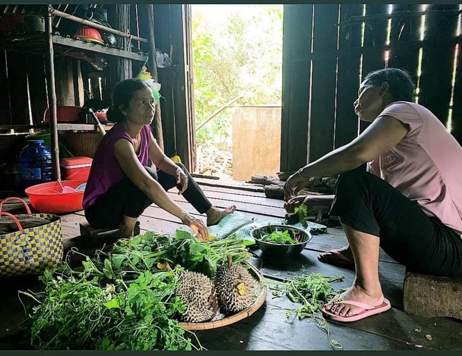 H'Hen Niê gây xúc động với rổ rau từ quê để mang theo lên Sài Gòn - ảnh 2