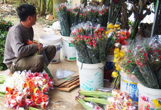 Hoa hồng Đà Lạt tăng giá mạnh sát dịp 20/10 - ảnh 1