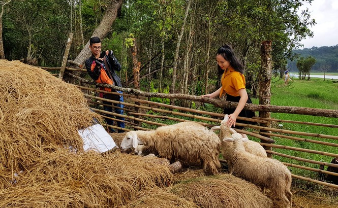 “Phim trường” chui ở di tích thắng cảnh quốc gia hồ Tuyền Lâm - ảnh 4