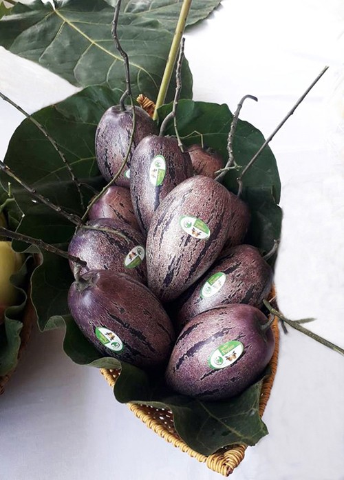 Người dân Đà Lạt đổ xô đặt mua hoa, quả độc lạ chơi Tết - ảnh 2