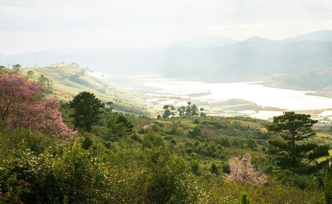 Quy hoạch nơi A. Yersin khám phá ra Đà Lạt thành khu du lịch quốc gia - ảnh 1