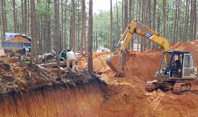 Phá rừng, xây dựng trái phép tại di tích quốc gia hồ Tuyền Lâm - ảnh 1