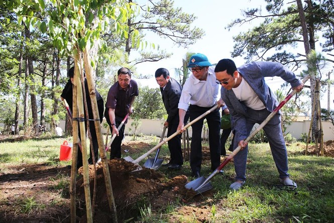 Đà Lạt trồng 6.000 cây thông và mai anh đào trong ngày sinh nhật Bác - ảnh 1