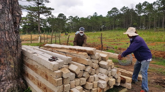Đà Lạt xử lý nhiều trường hợp biến đất rừng phòng hộ thành trang trại - ảnh 2