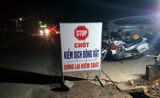 Dịch tả lợn châu Phi lan đến Lâm Đồng, tỉnh thứ 60 của cả nước - ảnh 1