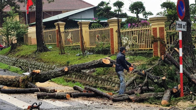 Lũ quét, lốc xoáy gây ngập lụt, cây đổ la liệt ở Lâm Đồng - ảnh 4