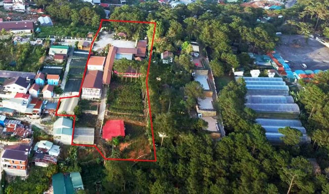 Lấn chiếm 'rừng tình' Đà Lạt làm nhà hàng hoành tráng - ảnh 1