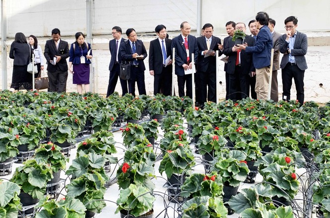 Lào, Campuchia học hỏi mô hình doanh nghiệp 'bắt tay' với hàng trăm hộ dân - ảnh 1