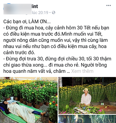 Xin đừng mua hoa ngày 30 Tết ! - ảnh 1