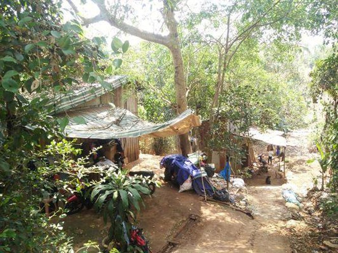 Cú lừa tình ngoạn mục của thanh niên trốn truy nã khiến cô gái mang thai - ảnh 2
