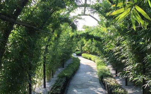 Cận cảnh văn phòng với cuộc sống như mơ của Google tại Singapore - ảnh 10