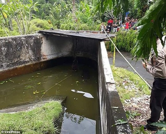 Cá sấu nhảy lên tường cao 2,5 m, giết chết nhà khoa học nữ - ảnh 3