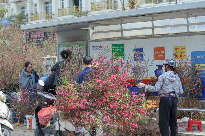 Quất, đào 'đại hạ giá' tràn ngập phố Hà Nội ngày 30 Tết - ảnh 10