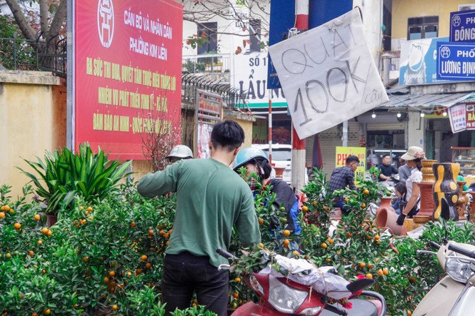 Quất, đào 'đại hạ giá' tràn ngập phố Hà Nội ngày 30 Tết - ảnh 4