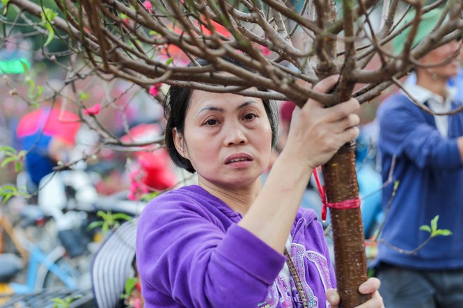 Quất, đào 'đại hạ giá' tràn ngập phố Hà Nội ngày 30 Tết - ảnh 7