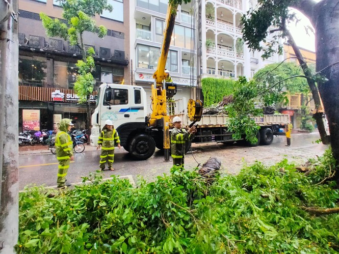 Mưa lớn, xà cừ 'đại thụ' bị quật ngã kéo theo cột điện Hà Nội - ảnh 17