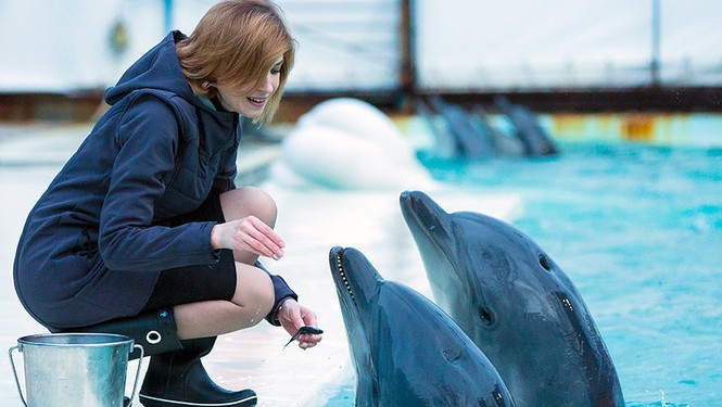 Trưởng Công tố viên Crimea Poklonskaya bất ngờ ‘tái xuất’ - ảnh 4