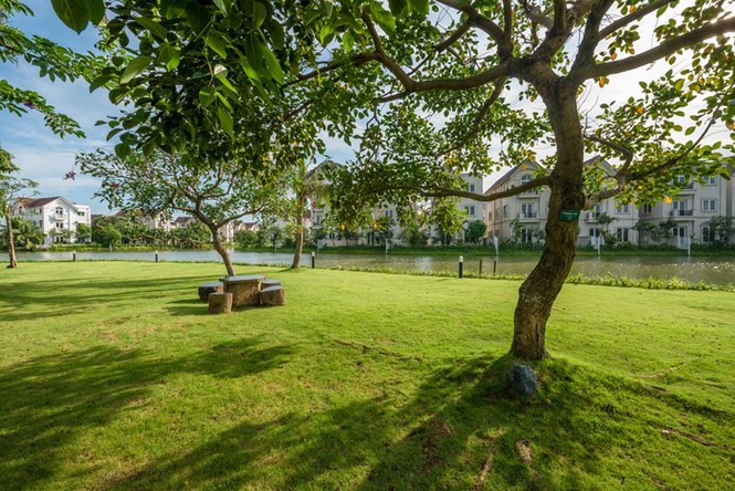 Biệt thự hạng sang: Kênh đầu tư hiệu quả - ảnh 1