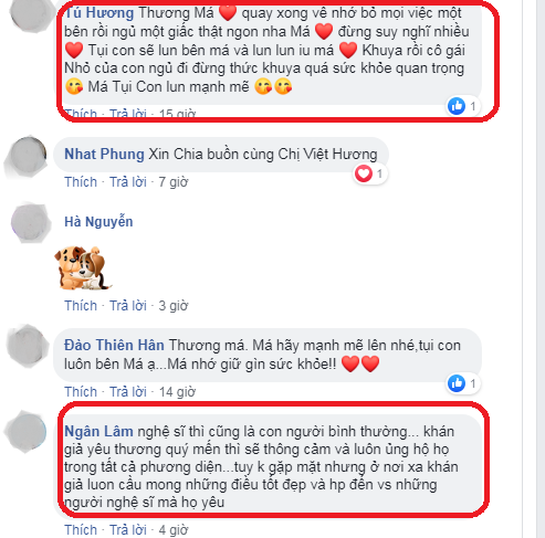 Việt Hương bất ngờ hủy show vào phút chót - ảnh 1