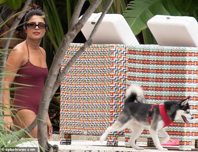 Hoa hậu Priyanka Chopra sexy với áo tắm lọt ống kính giới săn ảnh - ảnh 5