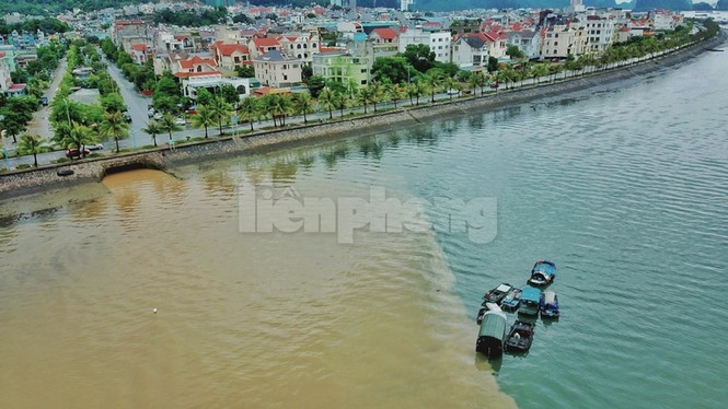 Vịnh Hạ Long đổi màu sau mưa lớn - ảnh 6
