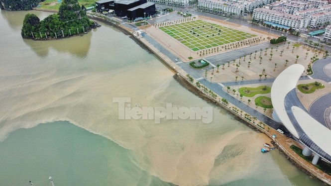 Vịnh Hạ Long đổi màu sau mưa lớn - ảnh 5
