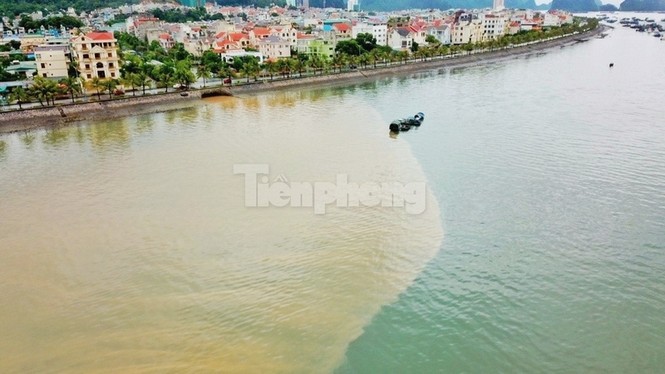Vịnh Hạ Long đổi màu sau mưa lớn - ảnh 8