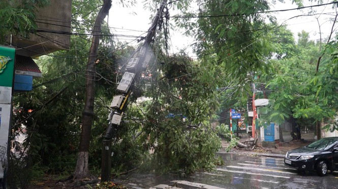 Hải Phòng mưa lớn, nhiều tuyến phố ngập trong nước - ảnh 2
