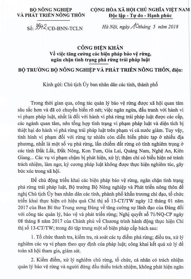 Đề nghị thanh tra, điều tra các tụ điểm phá rừng - ảnh 1