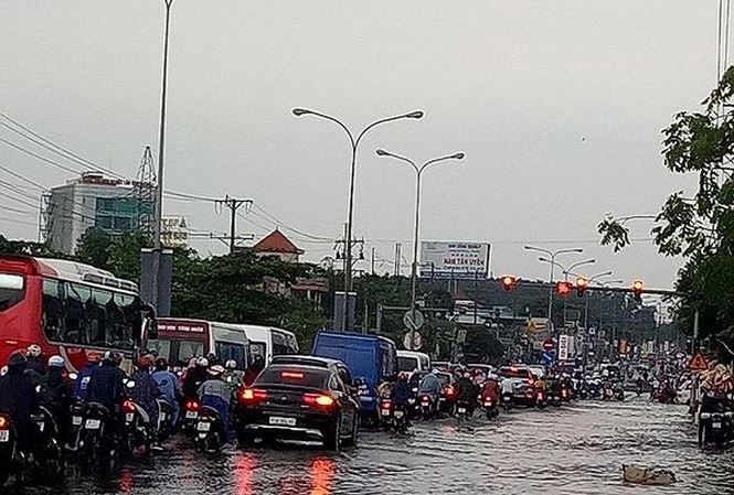Giám đốc Sở GTVT Bình Dương thừa nhận đã “phụ lòng” cử tri - ảnh 2