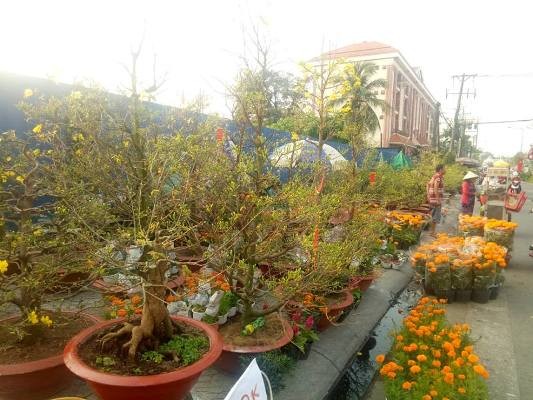Tiểu thương bán hoa ngày 29 tết: “Buồn… thối ruột” - ảnh 4