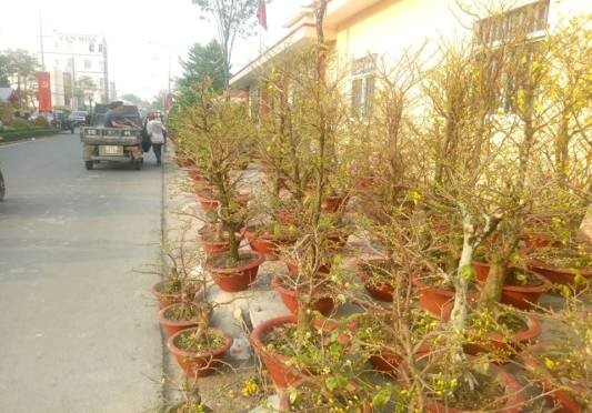 Tiểu thương bán hoa ngày 29 tết: “Buồn… thối ruột” - ảnh 7