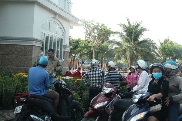 Hoa kiểng xả hàng ngày 30 tết, người dân chen nhau mua - ảnh 3