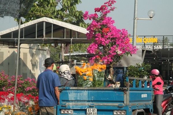 Hoa kiểng xả hàng ngày 30 tết, người dân chen nhau mua - ảnh 9