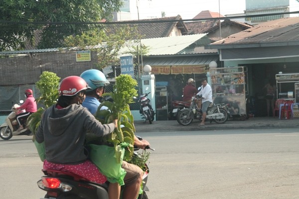 Hoa kiểng xả hàng ngày 30 tết, người dân chen nhau mua - ảnh 10