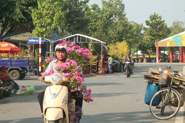 Hoa kiểng xả hàng ngày 30 tết, người dân chen nhau mua - ảnh 8