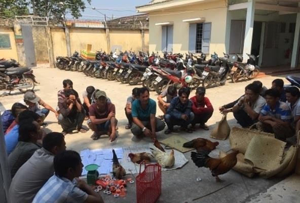 Phá tụ điểm đánh bạc trong vườn cao su - ảnh 1