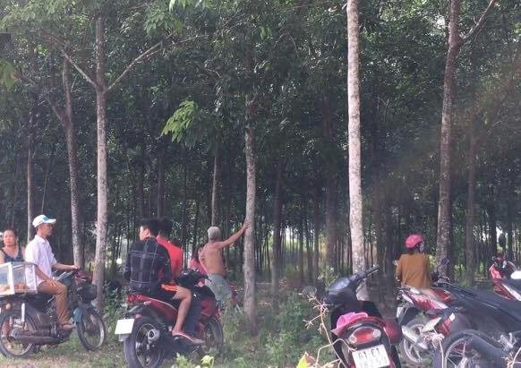 Phát hiện nam thanh niên treo cổ trong lô cao su - ảnh 1