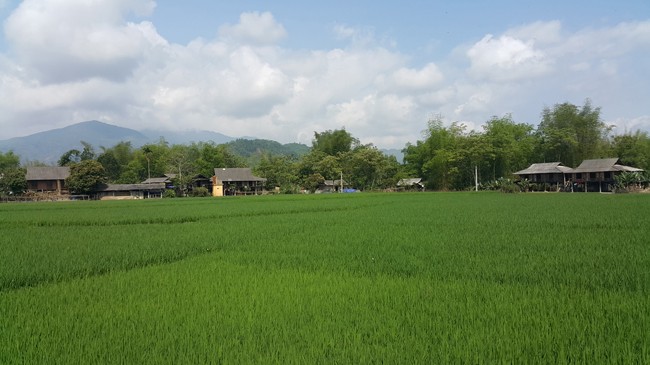 Mường Lò mở hội đêm nay - ảnh 1