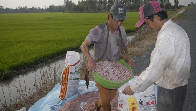 Đề nghị mở rộng điều tra vụ cấp bậy chứng nhận phân bón - ảnh 1