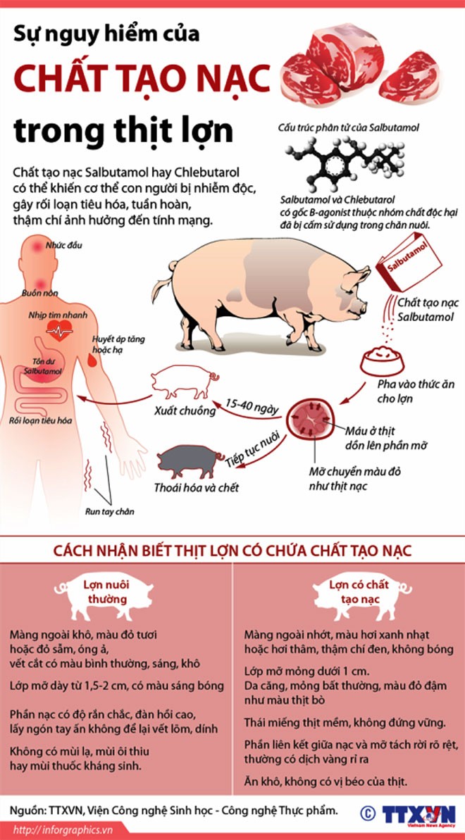 Thực phẩm bẩn là yếu tố gây ung thư hàng đầu - ảnh 1