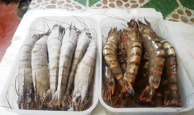 Từ nông dân tới Doanh nhân Ðoàn Văn Vươn - ảnh 3