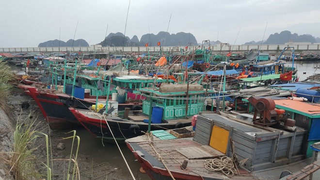 “Chạy đua” cùng bão số 7 - ảnh 1